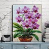 Phalaenopsis aphrodite diamond art