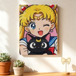Pretty Guardian Sailor Moon