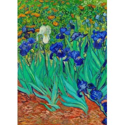 Van gogh Irises flower 5d mosaic diamond painting wholesale company  china manufacturer