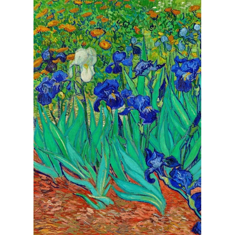 Van gogh Irises flower 5d mosaic diamond painting wholesale company  china manufacturer