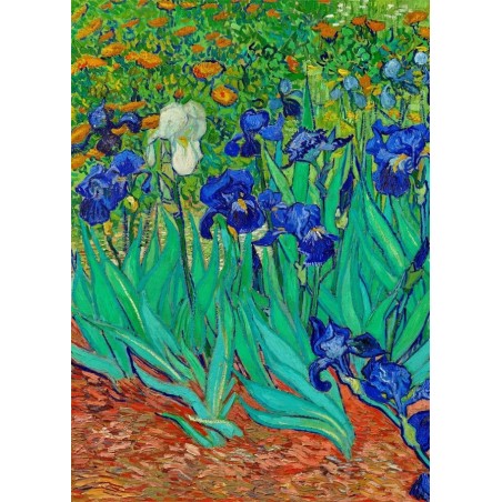 Van gogh Irises flower 5d mosaic diamond painting wholesale company  china manufacturer