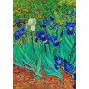 Van gogh Irises flower 5d mosaic diamond painting wholesale company  china manufacturer