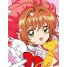 anime card captor 5d diamond painting rhinestone cavnas china manufacturer