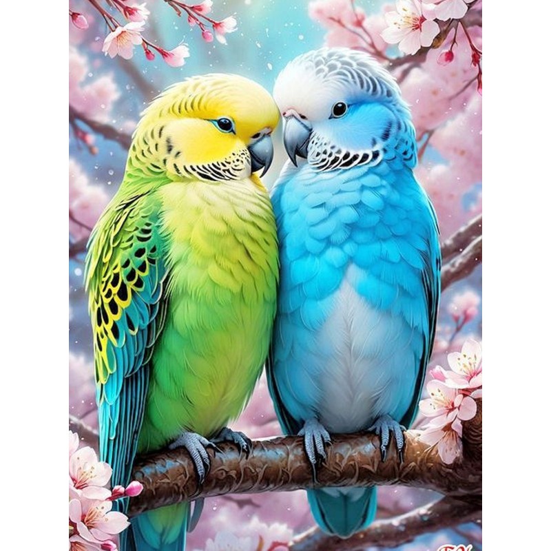 Melopsittacus undulatus