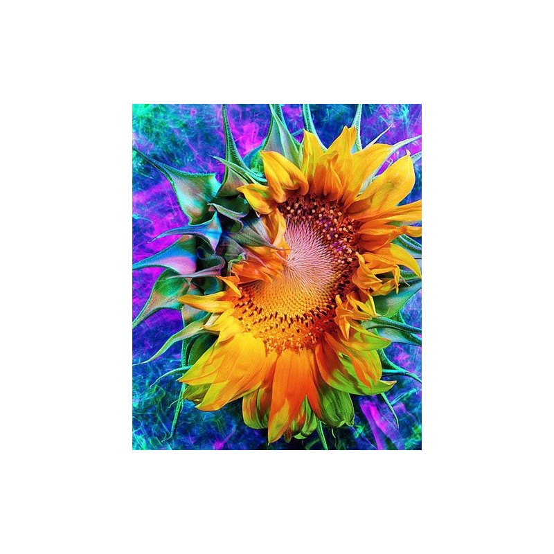 pretty sunflower diy 5d  adult  diamond painting  wall decoration china wholesale